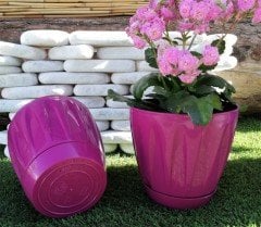 Renkli Saksı 1,5 LT 2 Adet Vişne Renk Papatya Model Plastik Tabaklı Çiçek Saksısı
