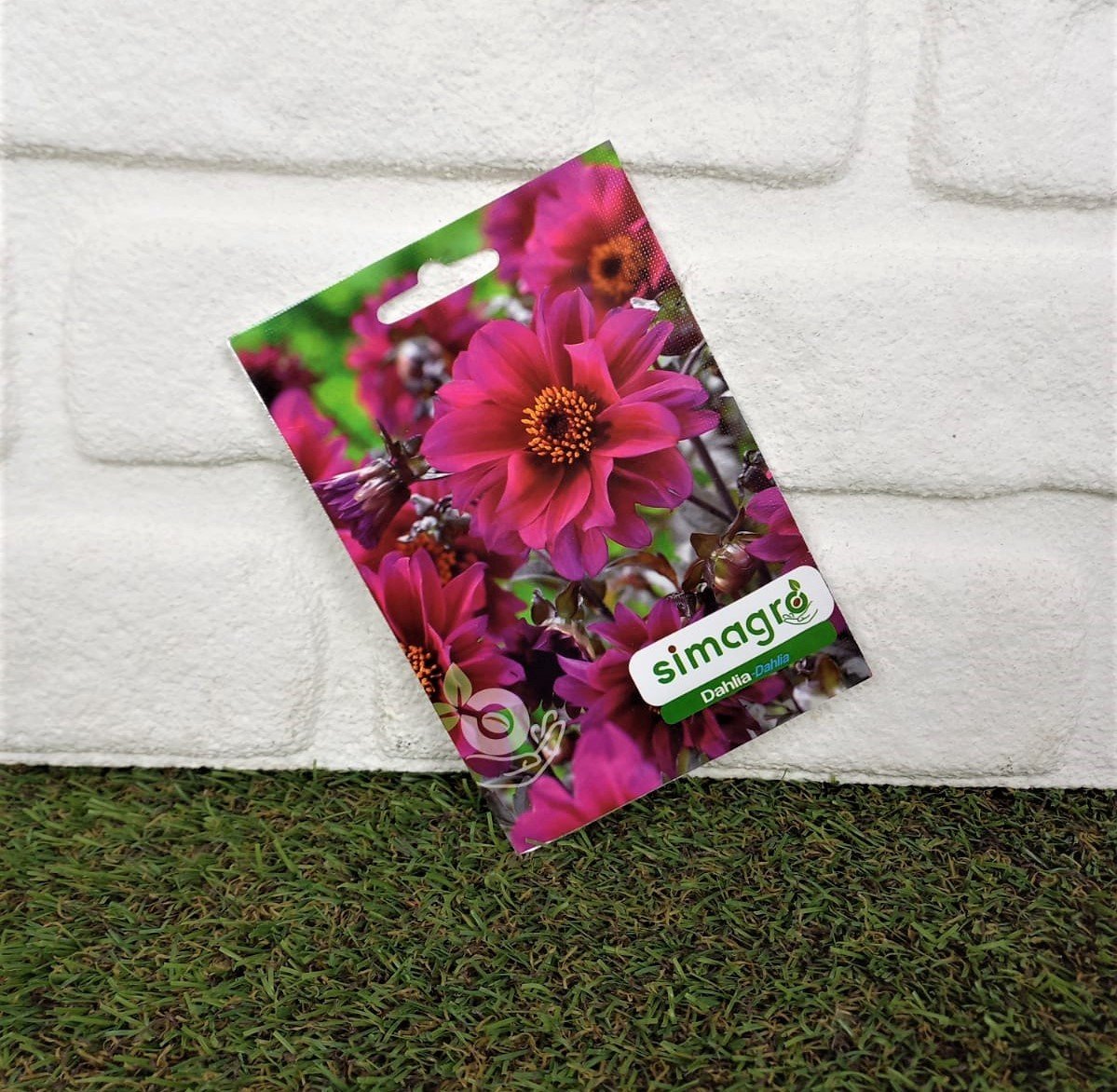 Dahlia Çiçeği Tohumu 1 Paket (100 Adet Tohum) Çiçek Tohumları