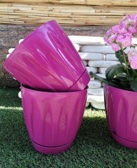 Renkli Saksı 1,5 LT 1 Adet Vişne Renk Papatya Model Plastik Tabaklı Çiçek Saksısı