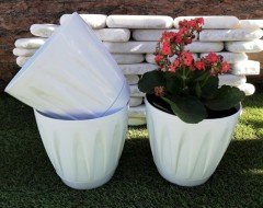 Renkli Saksı 3 LT 2 Adet Beyaz Renk Papatya Model Plastik Tabaklı Çiçek Saksısı