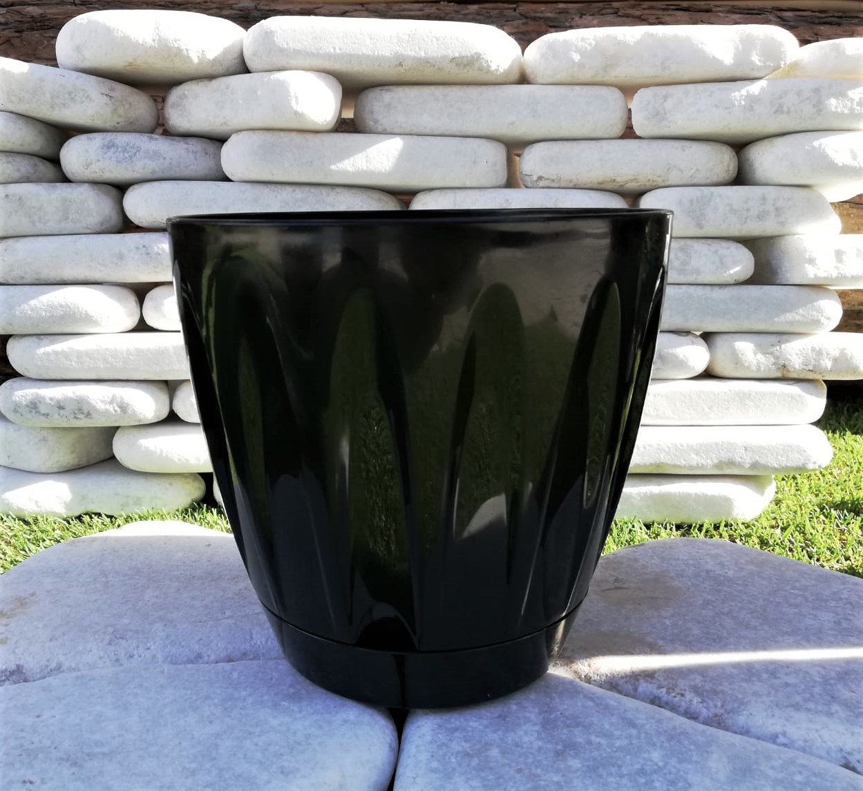 Renkli Saksı 3 LT 1 Adet Siyah Renk Papatya Model Plastik Tabaklı Çiçek Saksısı