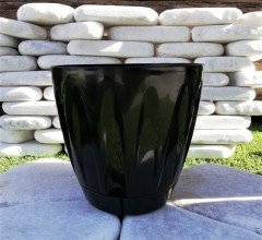 Renkli Saksı 3 LT 3 Adet Siyah Renk Papatya Model Plastik Tabaklı Çiçek Saksısı