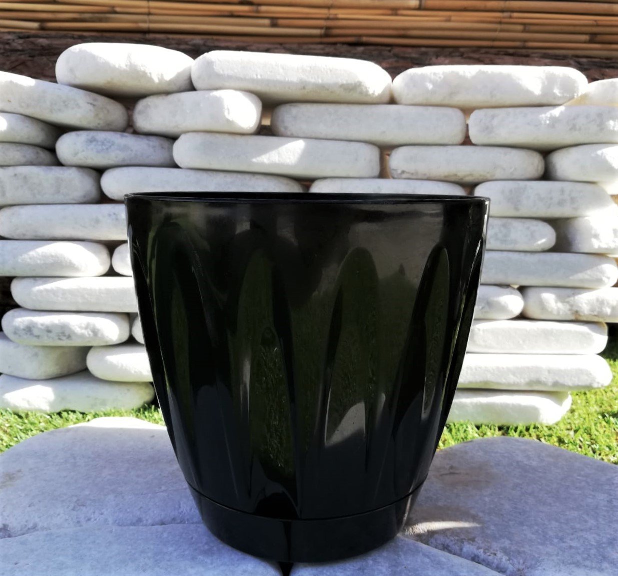 Renkli Saksı 6 LT 3 Adet Siyah Renk Papatya Model Plastik Tabaklı Çiçek Saksısı