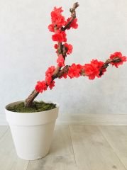 Yapay Çiçek 1 adet 40-80 cm Kırmızı Bahar Dalı Yapay Bitki Ağaç Bonsai Ağacı