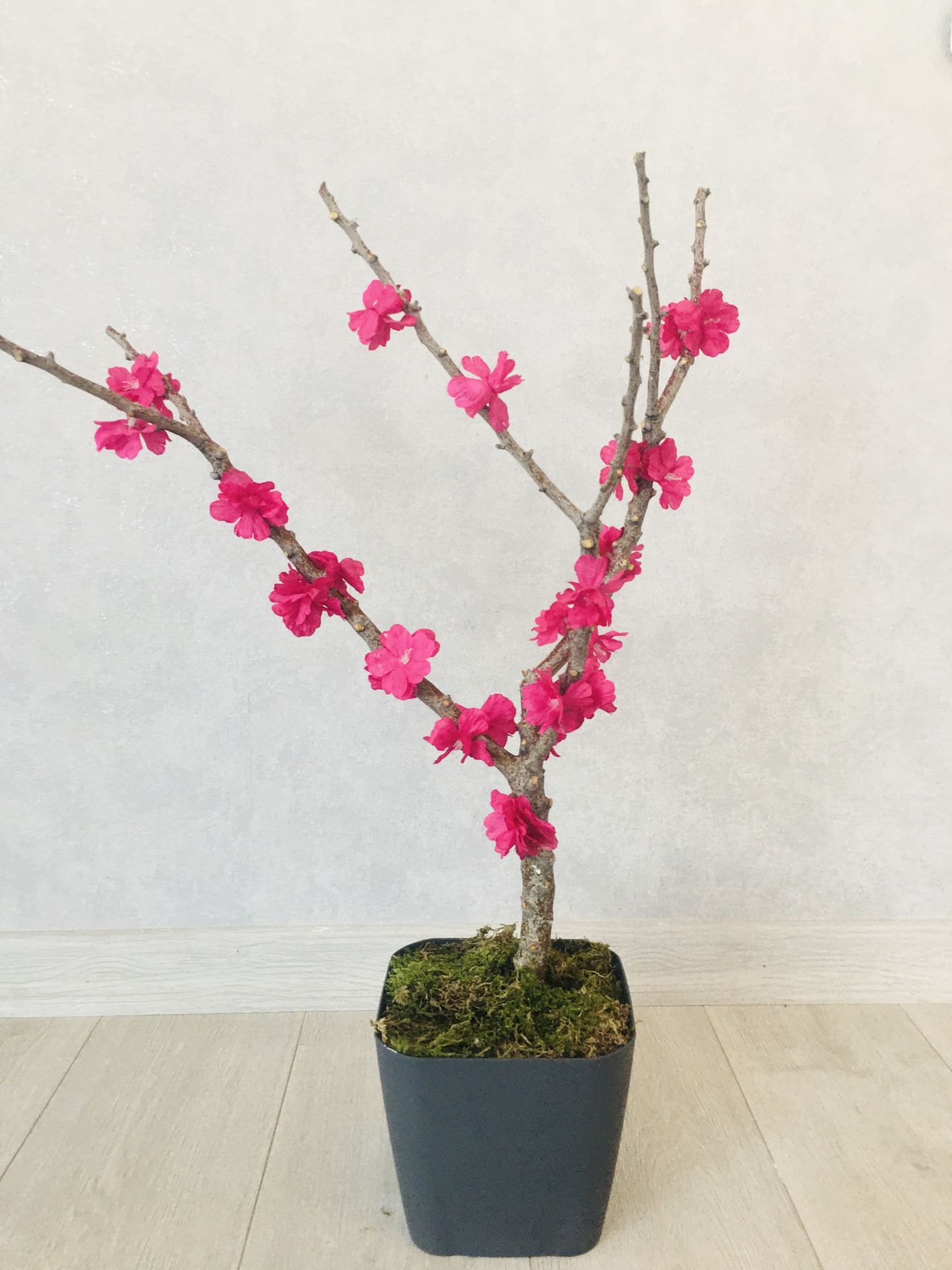 Yapay Çiçek 1 adet 40-80 cm Fuşya Bahar Dalı Yapay Bitki Ağaç Bonsai Ağacı