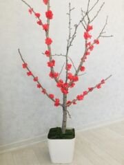 Yapay Çiçek 1 adet 80-100 cm Kırmızı Bahar Dalı Yapay Bitki Ağaç Saksıda Yapay Çiçek Bonsai Ağacı