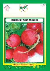 İri Kırmızı Turp Tohumu 1 Paket 10 GR (3000 Adet) Sebze Tohumu