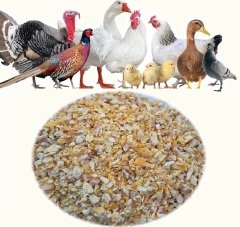 Kırık Mısır 25 KG Tavuk Kaz Ördek Yemi Kırması Kanatlı Yemi Yemlik Mısır