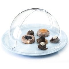 RENKLİ YUVARLAK MELAMİN TEPSİLİ ROLL TOP 45*3 CM