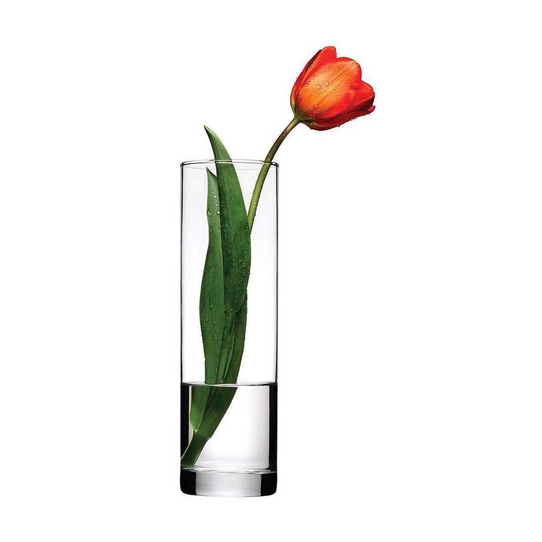 BOTANICA VAZO 265 MM