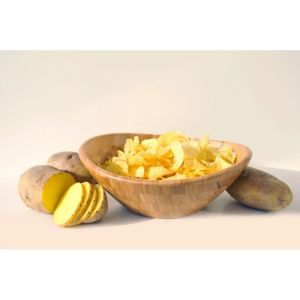 PAELLA - SALATA KASESİ ORTA