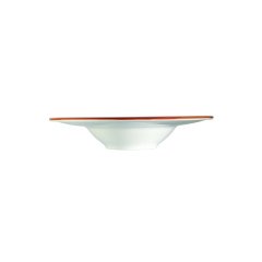 TERRAİN BANQUET ÇUKUR TABAK 28 CM 400 CC