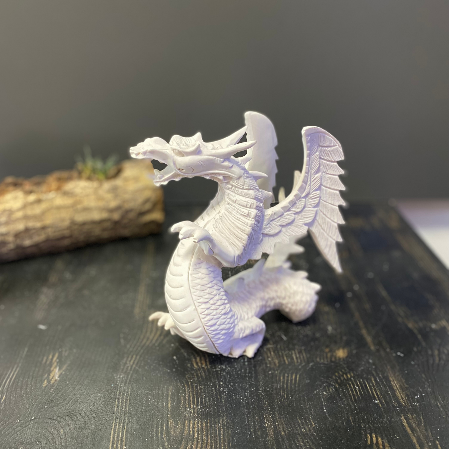 Dragon Ejderha Biblo