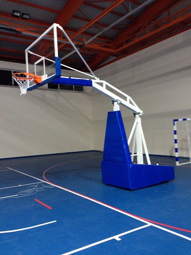 PROFESYONEL BASKETBOL POTASI
