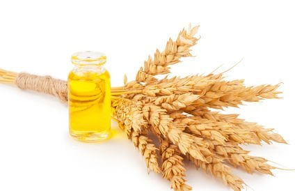 Buğday Tohumu Yağı Nedir? 