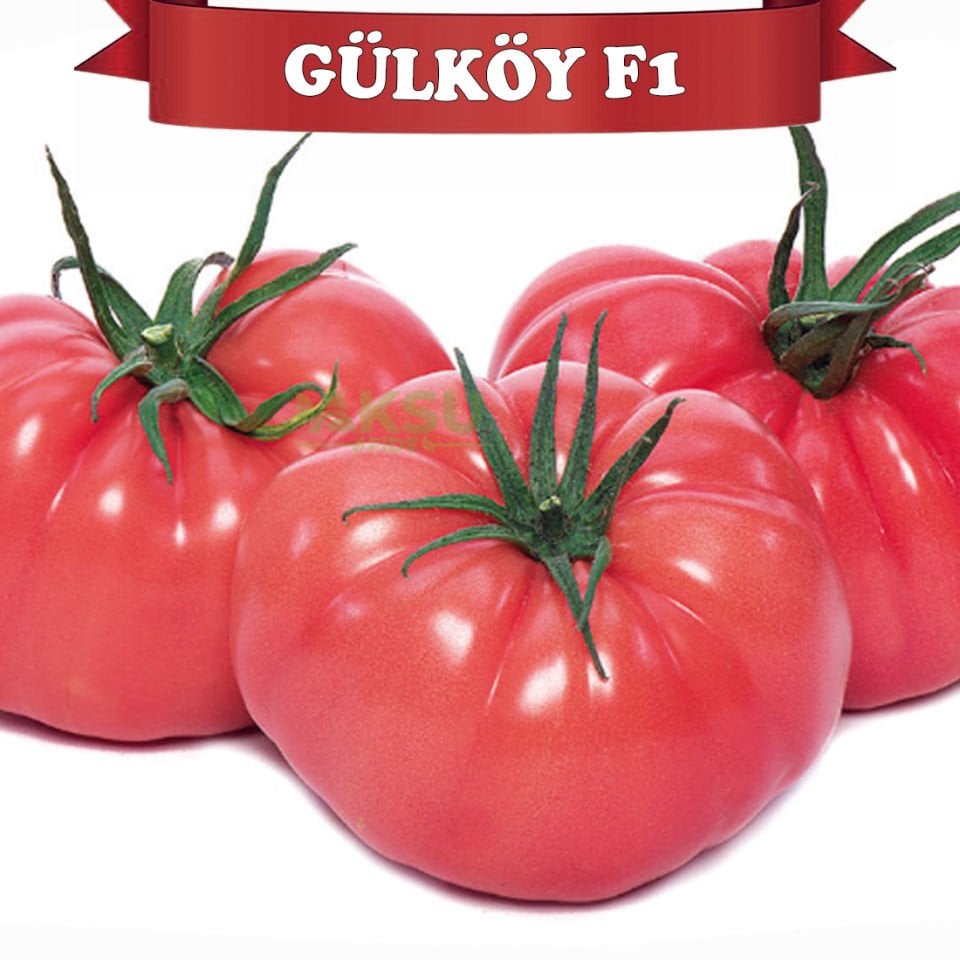Gülköy F1 Pembe Köy Domatesi Fidesi