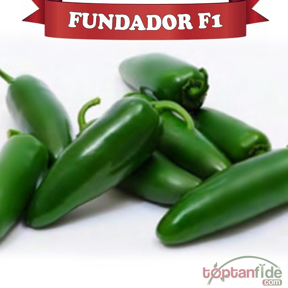 Fundador F1 Jalapeno Biberi Fidesi