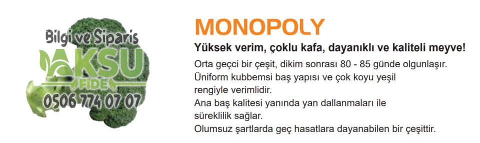 Monopoly 80 Günlük Brokoli Fidesi