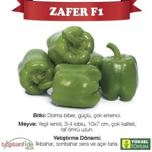 Zafer F1 Dolma Biber Fidesi