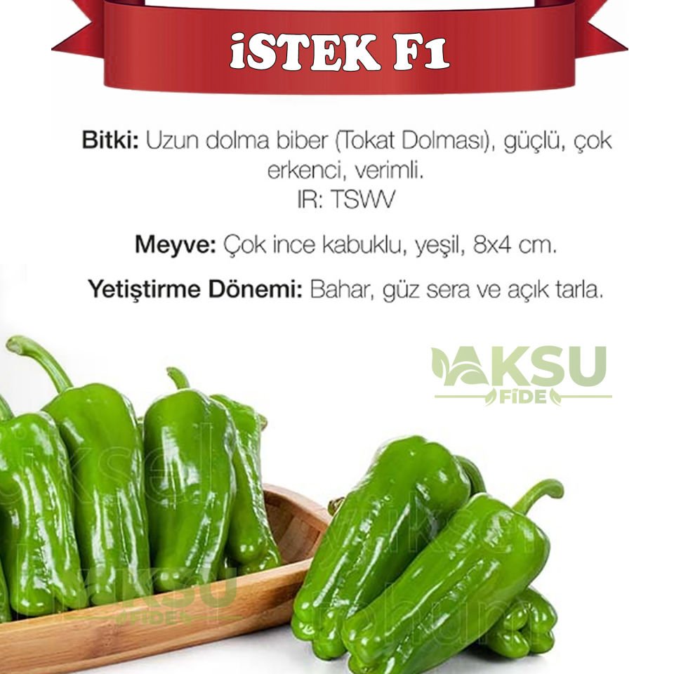 İstek F1 Tokat Dolması Biber Fidesi