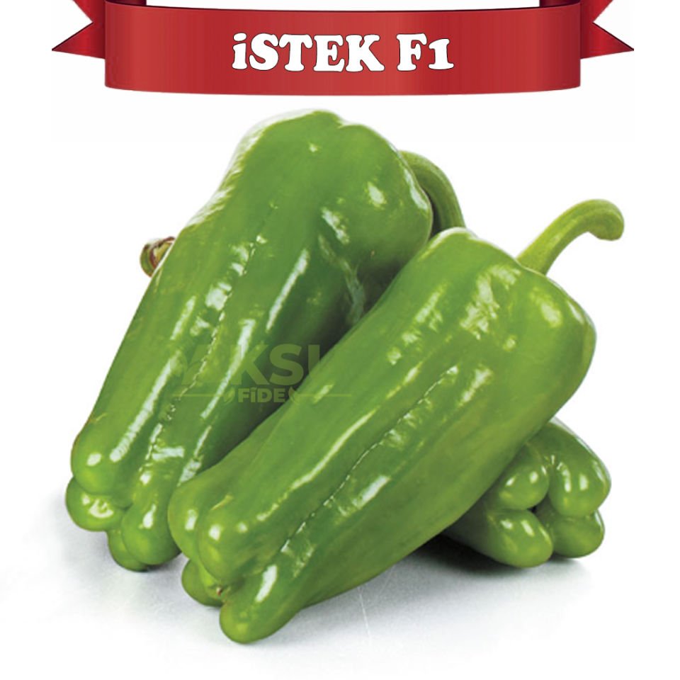 İstek F1 Tokat Dolması Biber Fidesi