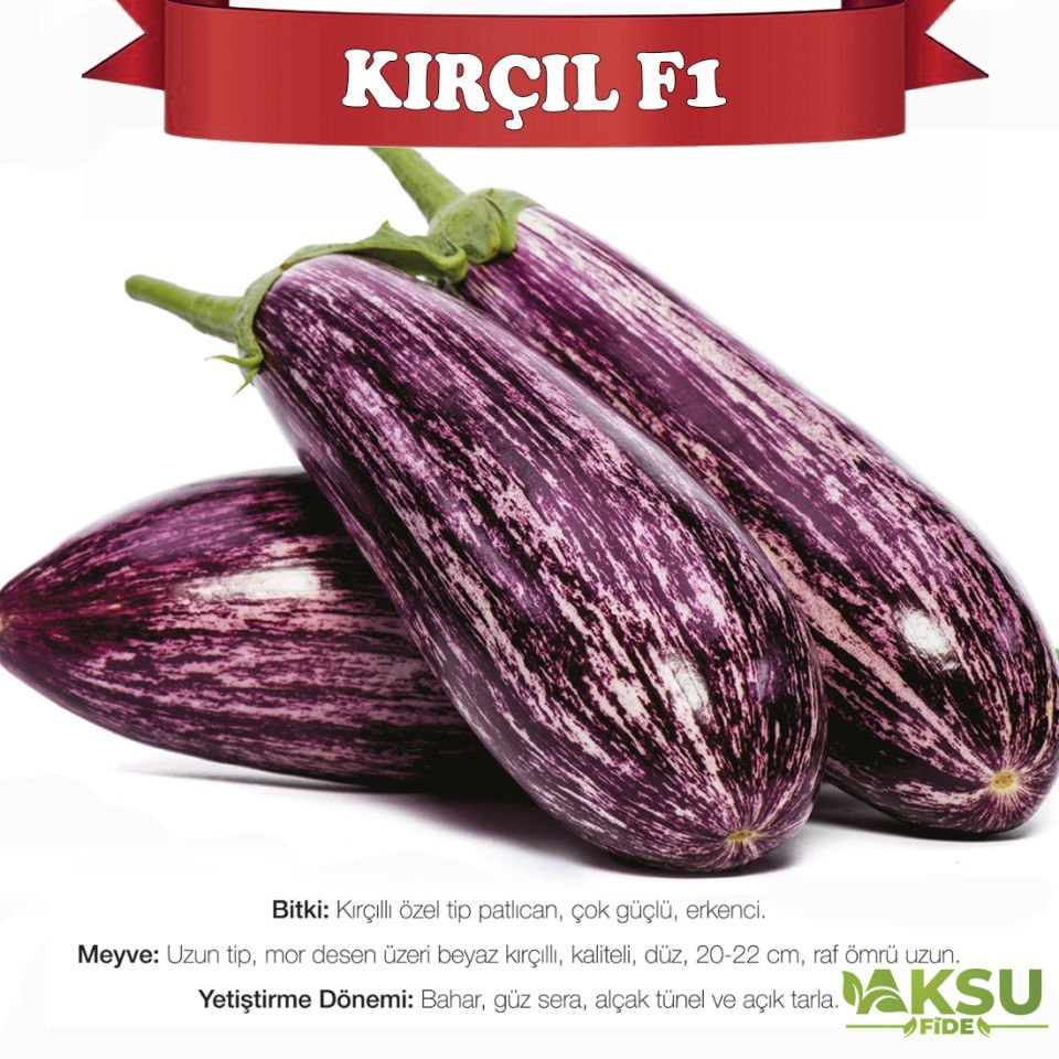 Kırçıl F1 Çizgili Patlıcan Fidesi