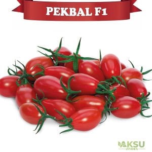 Pekbal F1 - Kırmızı Oval Kiraz Domates Fidesi