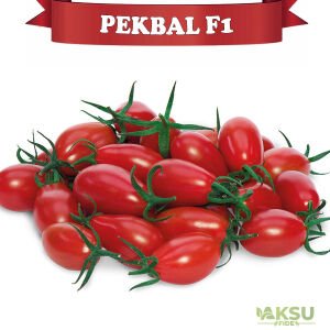 Pekbal F1 - Kırmızı Oval Kiraz Domates Tohumu