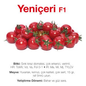 Yeniçeri F1 - Kiraz Domates Fidesi