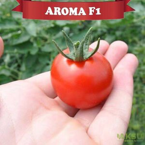 Aroma F1 - Salkım Kokteyl Domates Fidesi