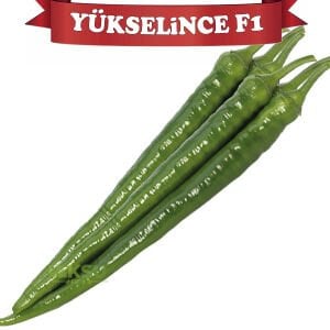 Yükselince F1 Acı İnce Sivri Biber Tohumu