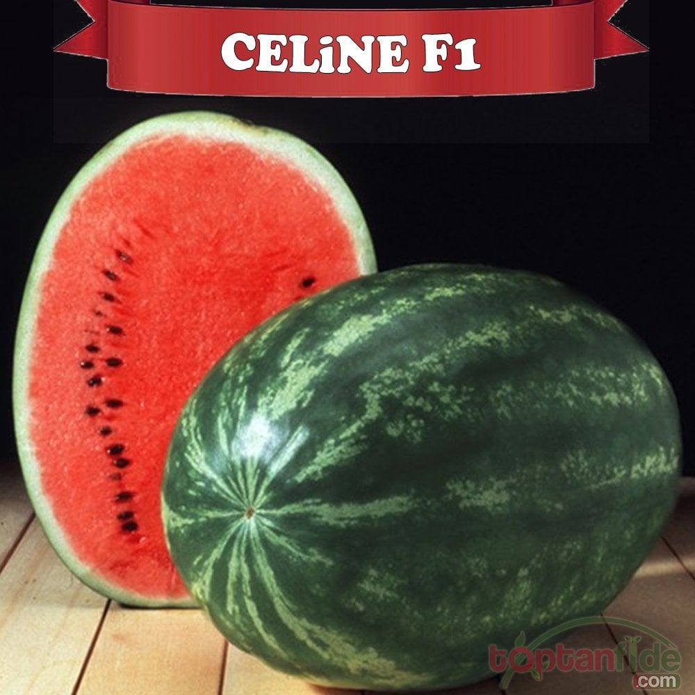 Celine F1 Karpuz Fidesi