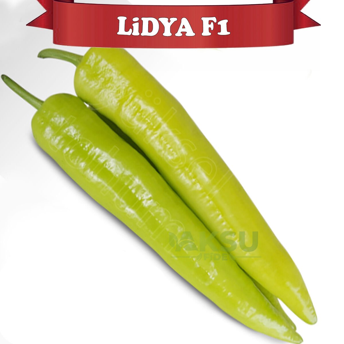 Lidya F1 Çarliston Biber Tohumu