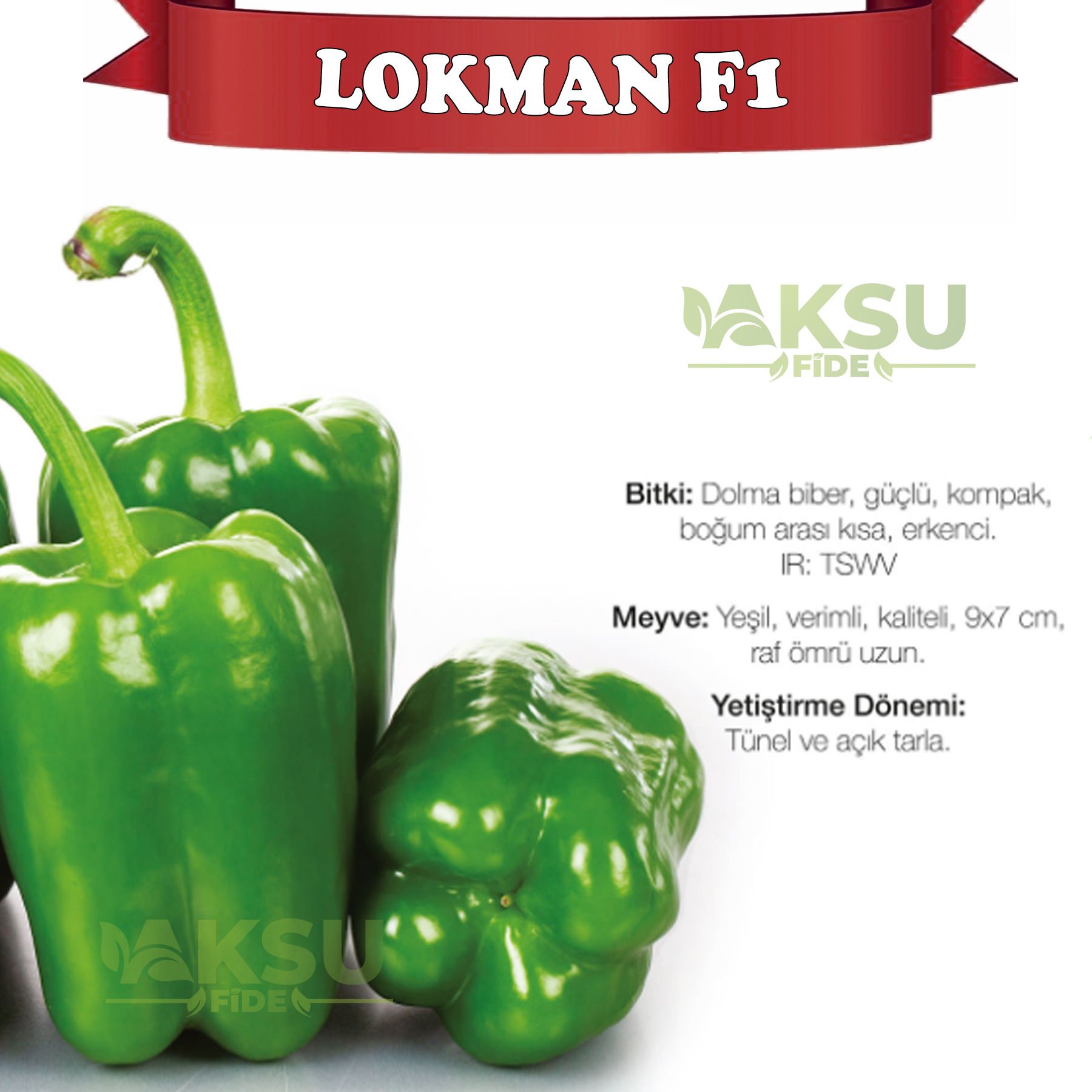Lokman F1 Yeşil Dolma Biber Tohumu