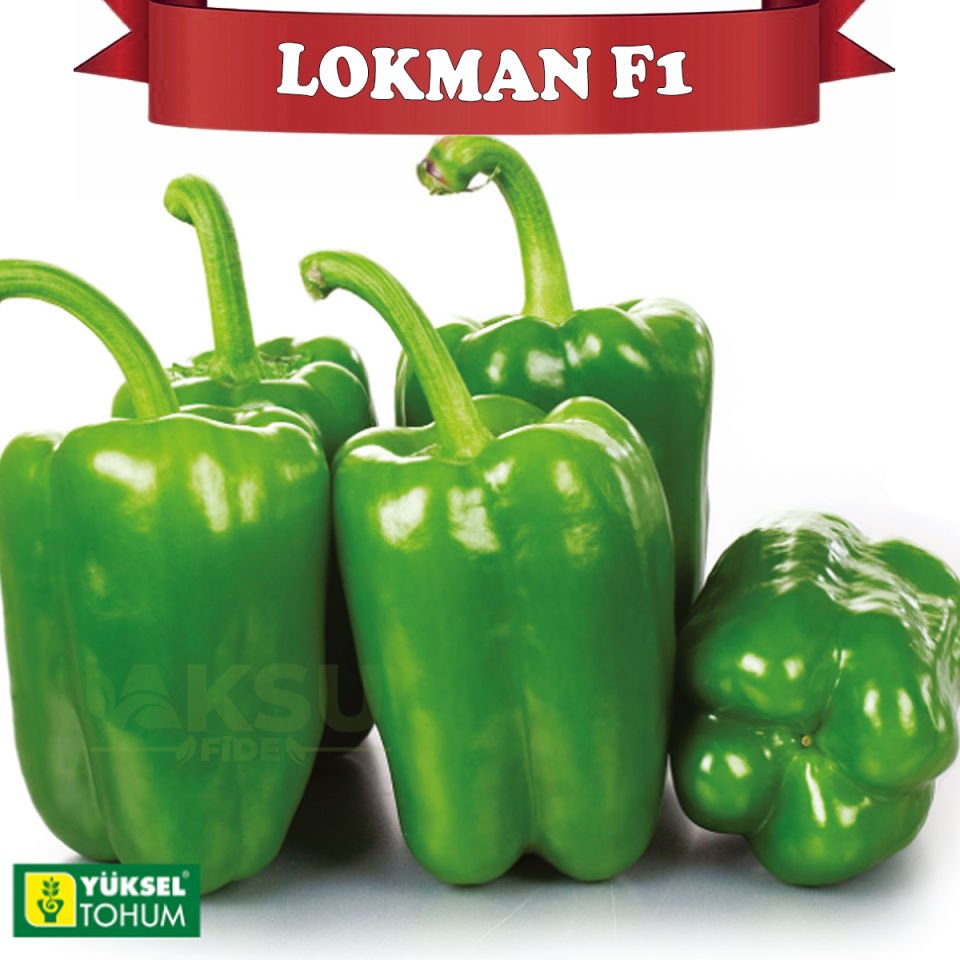 Lokman F1 Yeşil Dolma Biber Tohumu