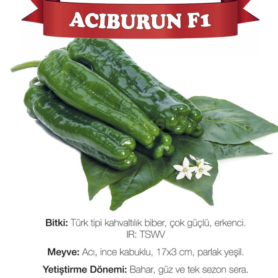 Acıburun F1 Kahvaltılık Acı Köy Biberi Tohumu