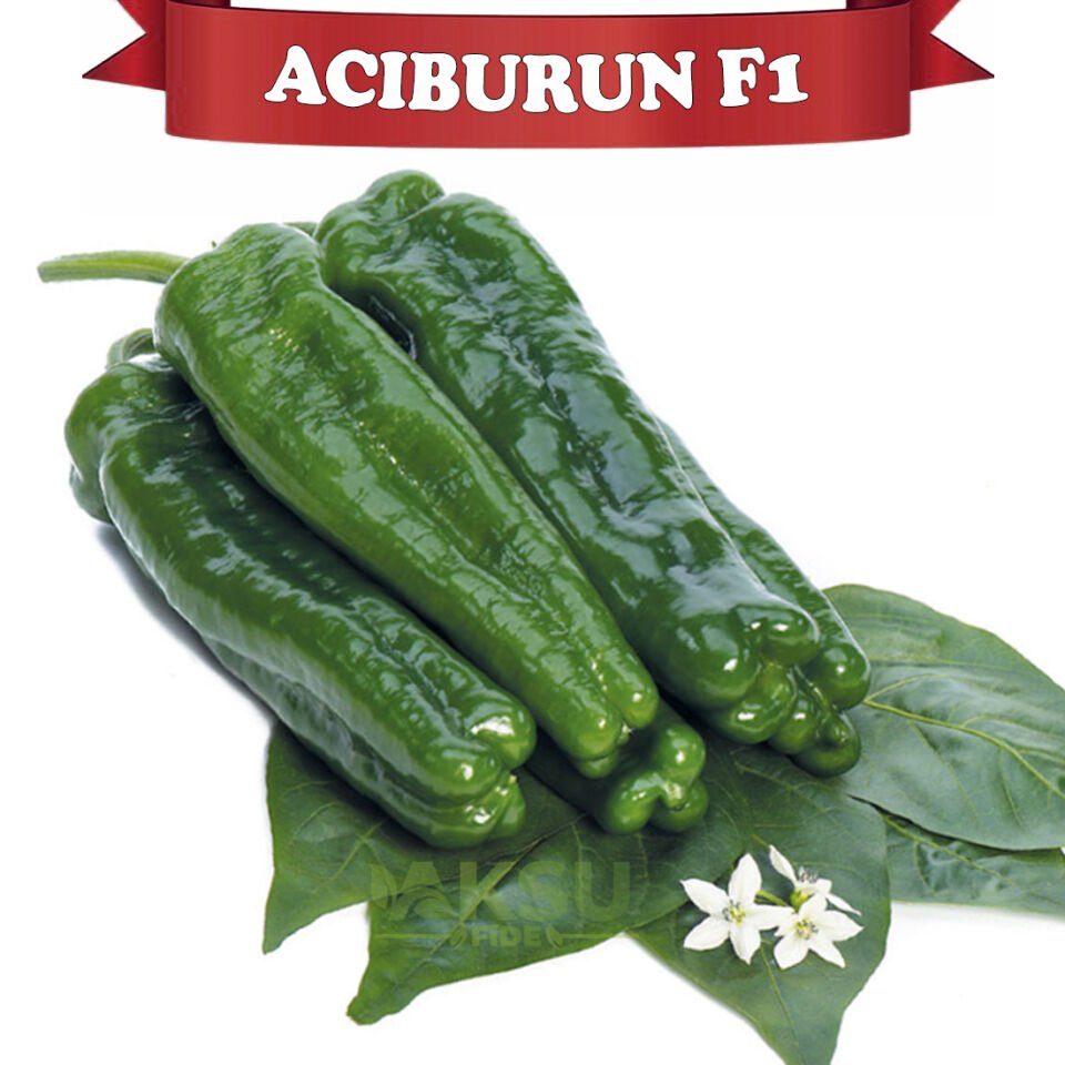 Acıburun F1 Kahvaltılık Acı Köy Biberi Tohumu