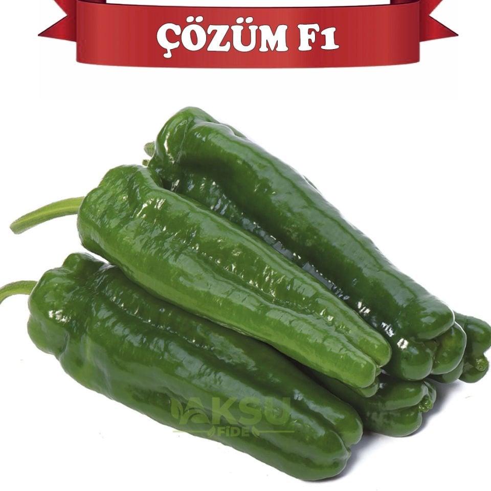Çözüm F1 Acı Köy Biberi Tohumu
