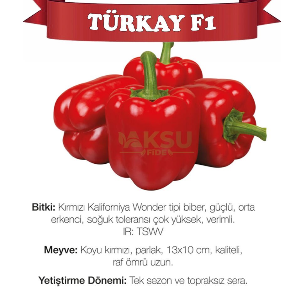 Türkay F1 Kırmızı California Wonder Biber Tohumu