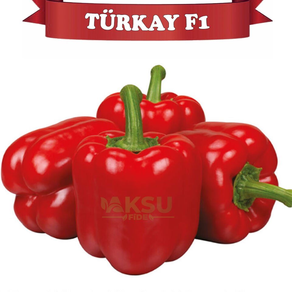 Türkay F1 Kırmızı California Wonder Biber Tohumu
