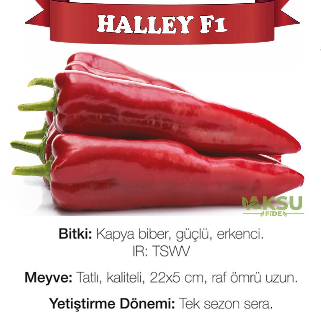 Halley F1 Kapya Biber Tohumu