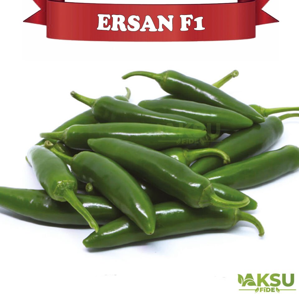 Ersan F1 Jalepone Biber Tohumu