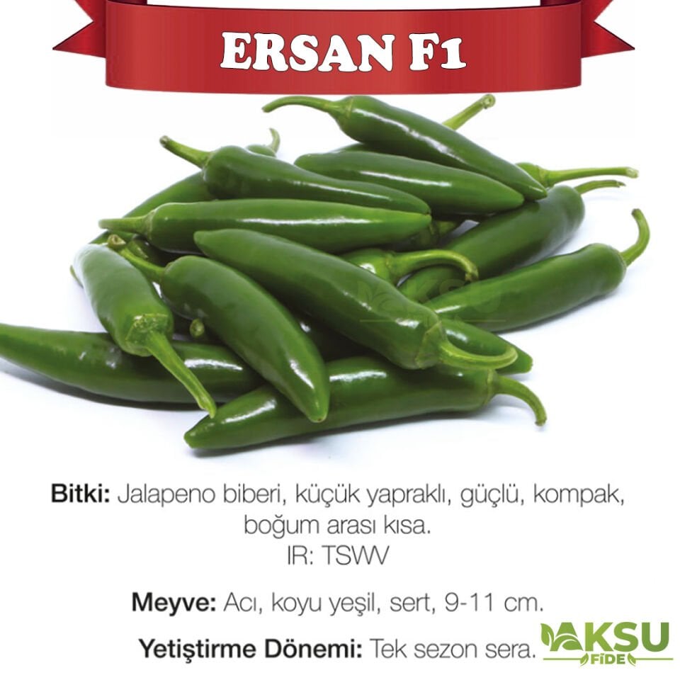 Ersan F1 Jalepone Biber Tohumu