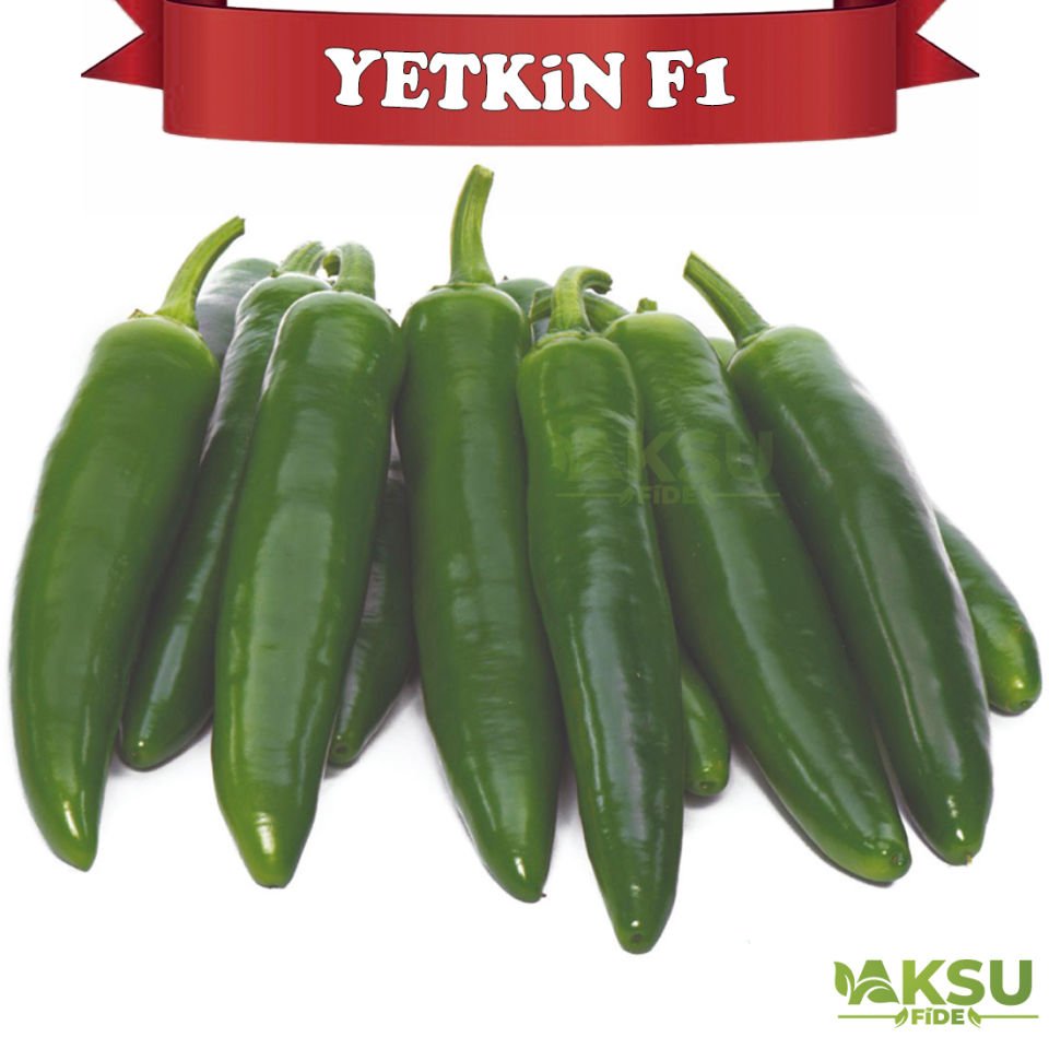 Yetkin F1 Jalapeno Biber Tohumu
