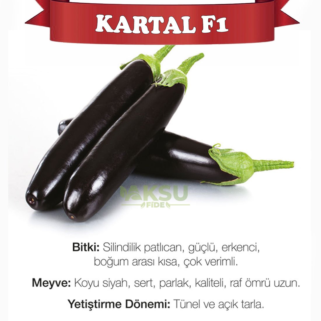Kartal F1 - Patlıcan Tohumu