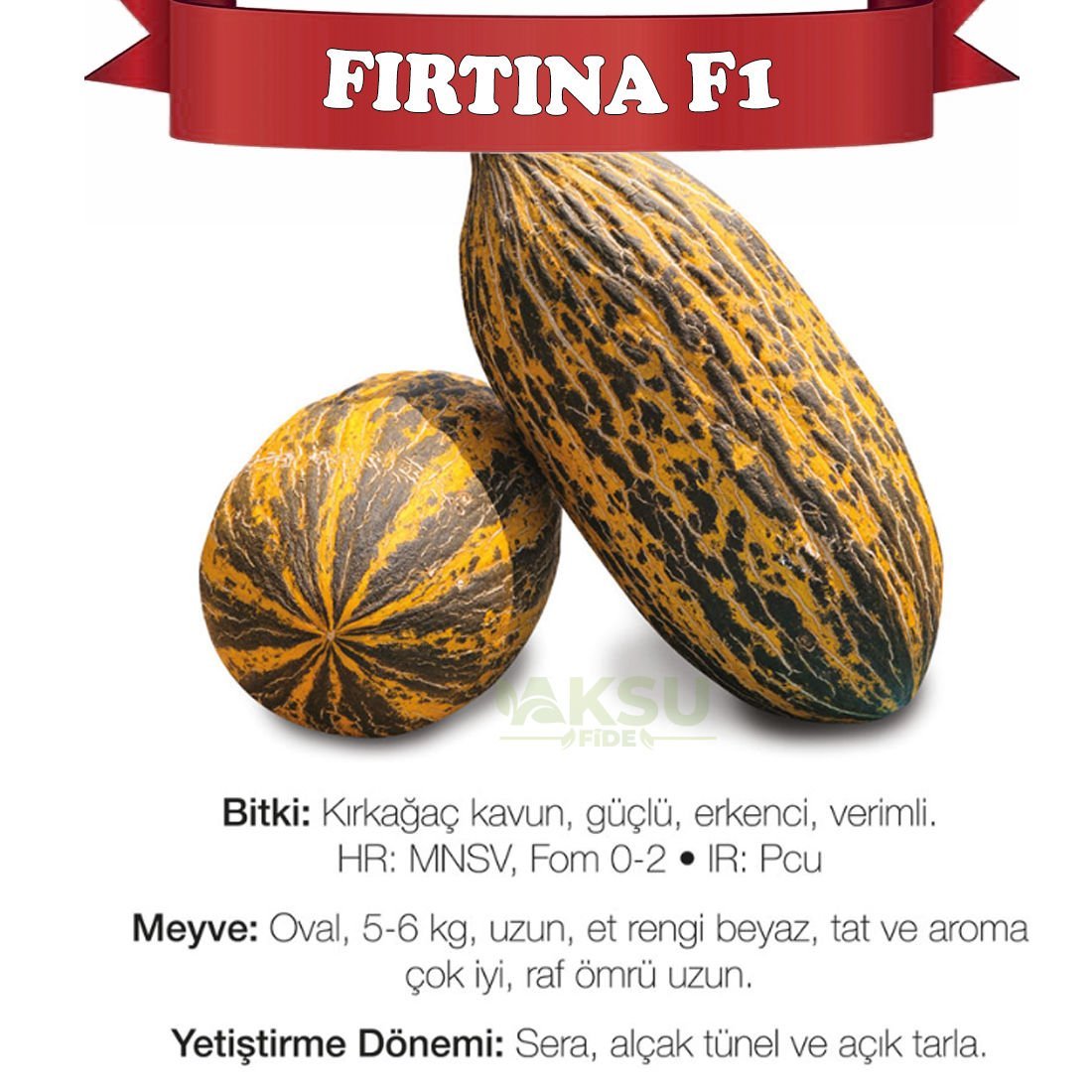 Fırtına F1 Kırkağaç Kavun Tohumu 1000 Adet