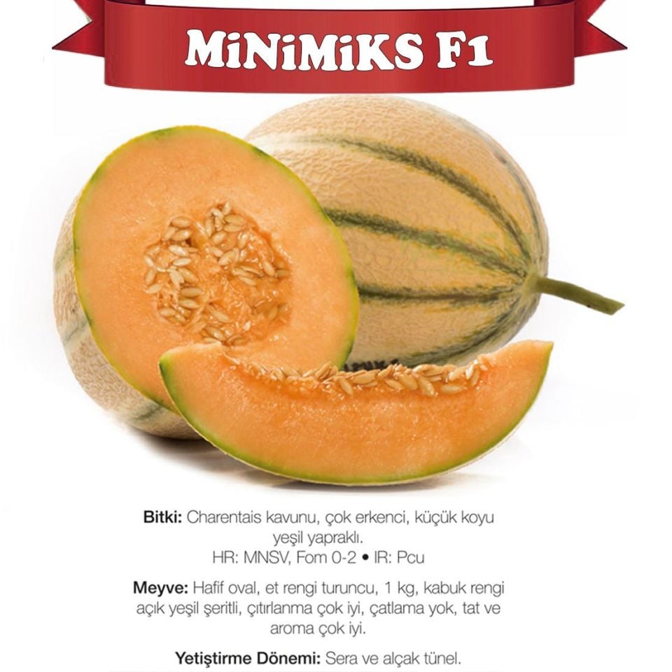 Minimiks F1 Mini Kavun Tohumu