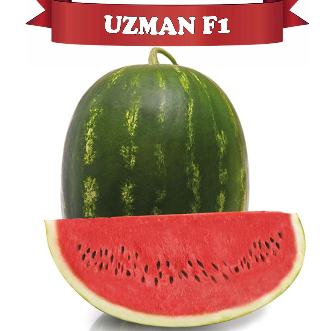 Uzman F1 Ala Karpuz Fidesi