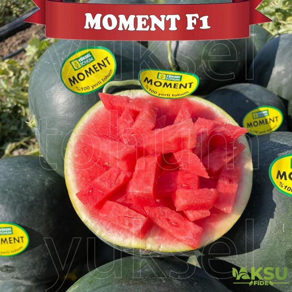 Moment F1 Çekirdeksiz Siyah Karpuz Tohumu