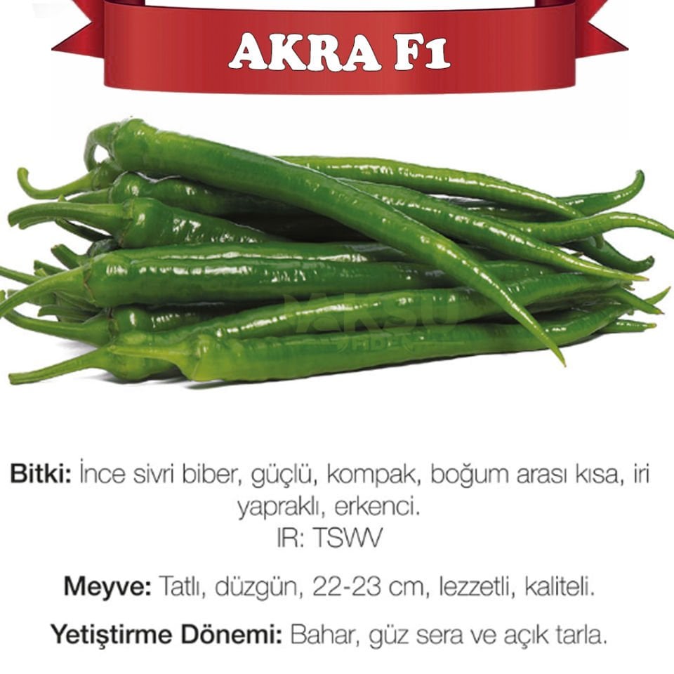 Akra F1 Tatlı Sivri Biber Fidesi